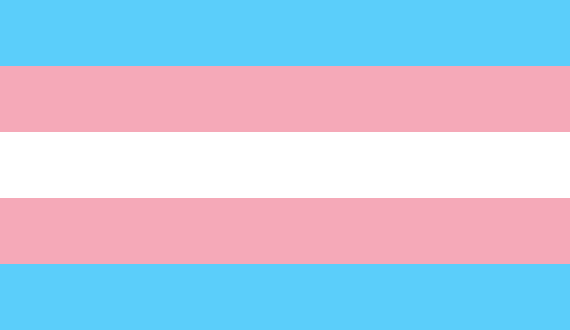 Journée visibilité trans